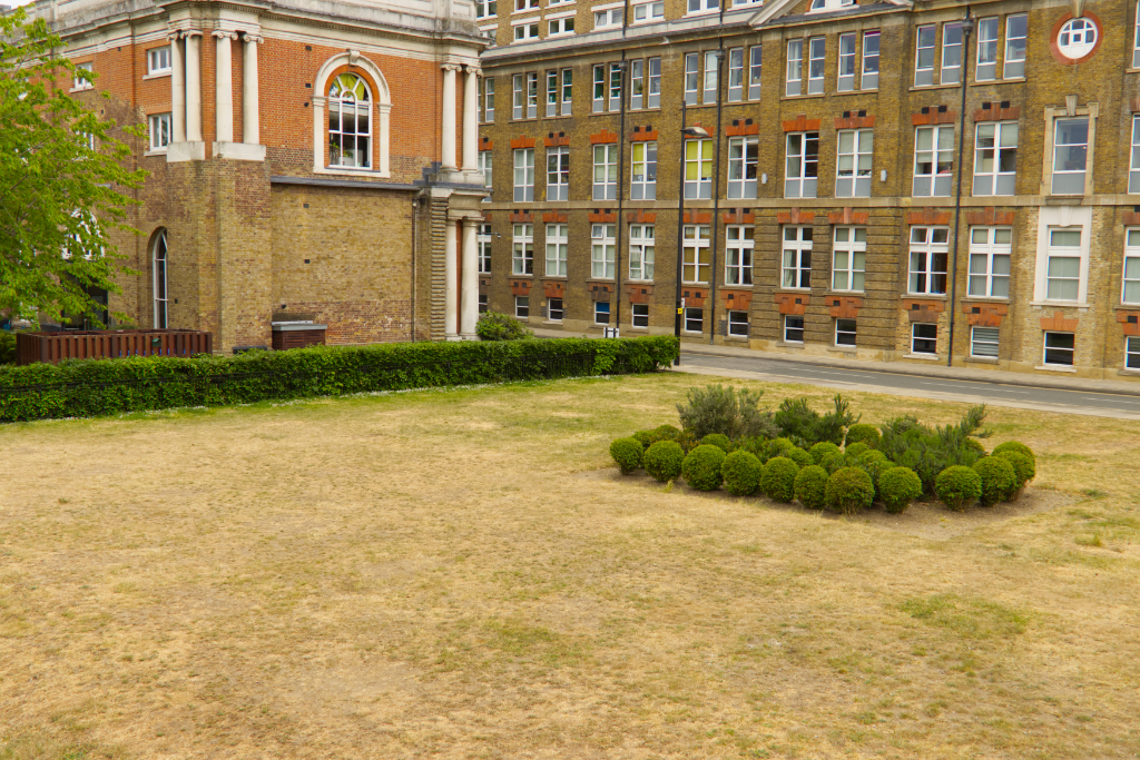 Looking over the park to Building 22